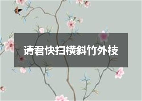 请君快扫横斜竹外枝