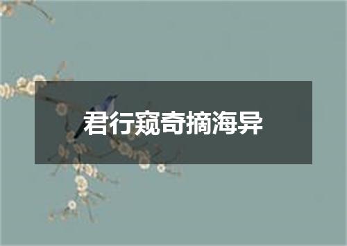 君行窥奇摘海异