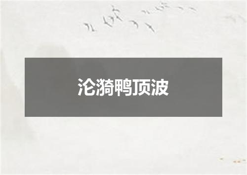 沦漪鸭顶波