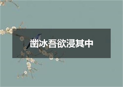凿冰吾欲浸其中