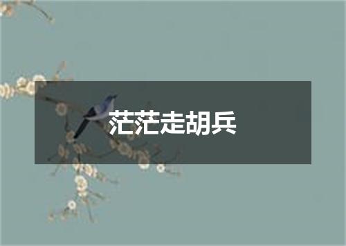 茫茫走胡兵