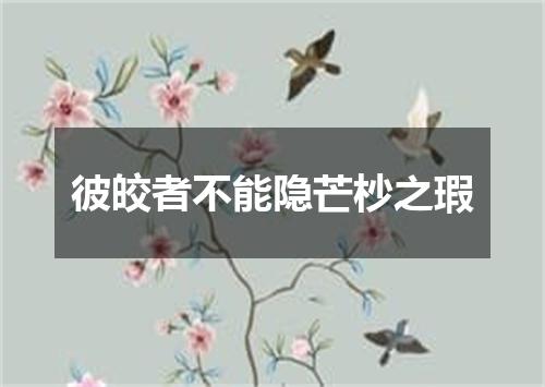 彼皎者不能隐芒杪之瑕