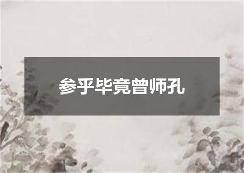 参乎毕竟曾师孔