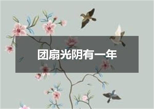 团扇光阴有一年