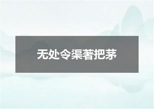 无处令渠著把茅