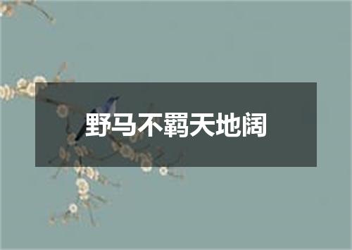 野马不羁天地阔