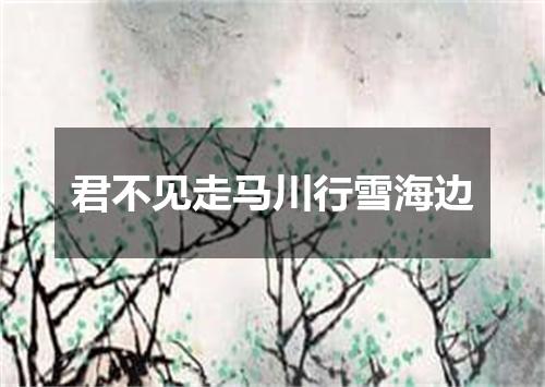 君不见走马川行雪海边
