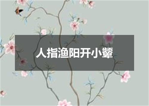 人指渔阳开小颦