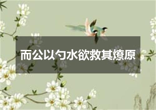 而公以勺水欲救其燎原