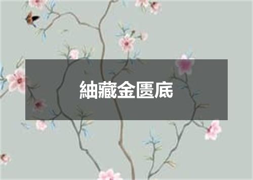 紬藏金匮底