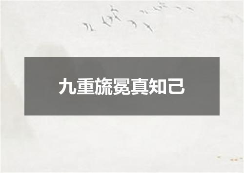 九重旒冕真知己