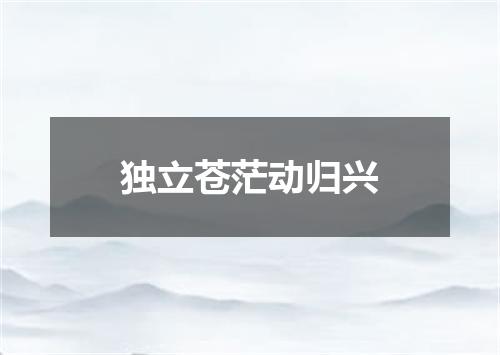 独立苍茫动归兴