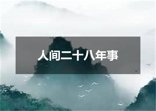人间二十八年事