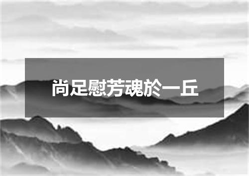 尚足慰芳魂於一丘