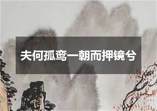 夫何孤鸾一朝而押镜兮