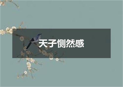 天子恻然感