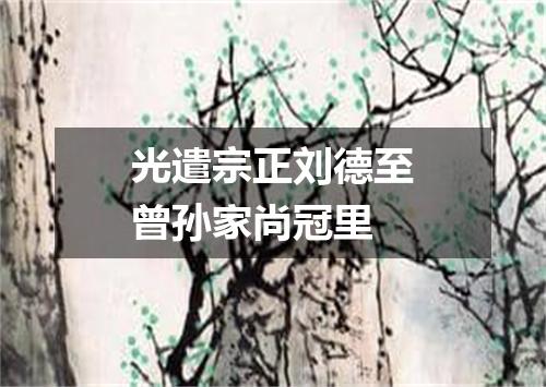 光遣宗正刘德至曾孙家尚冠里
