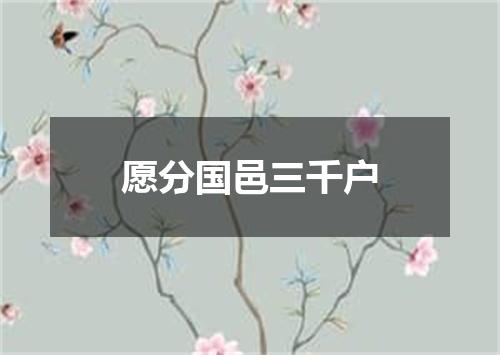 愿分国邑三千户
