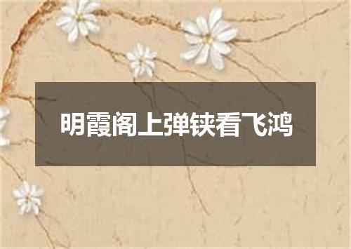 明霞阁上弹铗看飞鸿