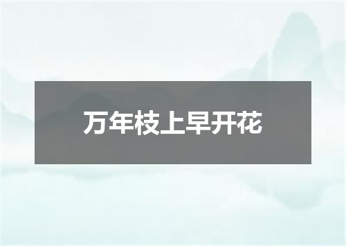 万年枝上早开花