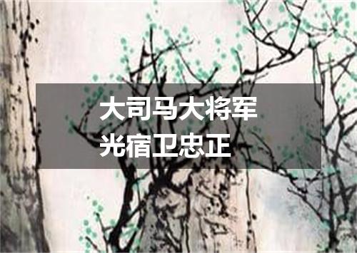 大司马大将军光宿卫忠正