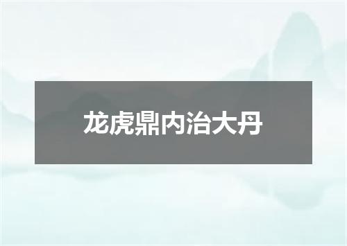 龙虎鼎内治大丹