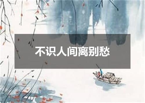 不识人间离别愁