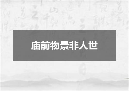 庙前物景非人世