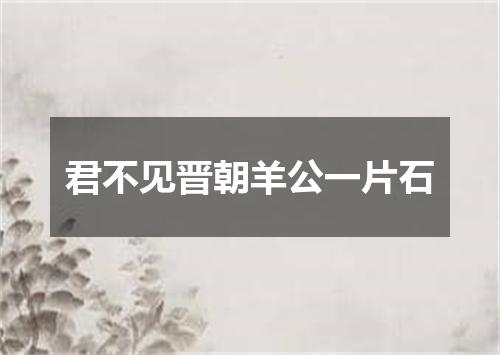 君不见晋朝羊公一片石