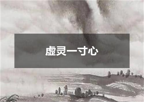 虚灵一寸心