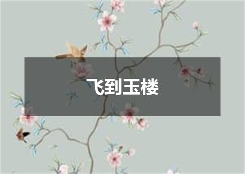 飞到玉楼