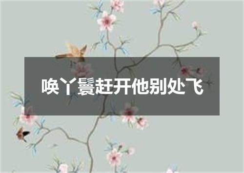 唤丫鬟赶开他别处飞