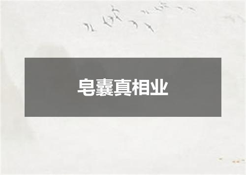 皂囊真相业