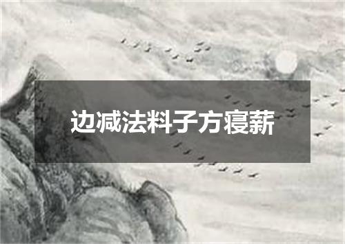 边减法料子方寝薪