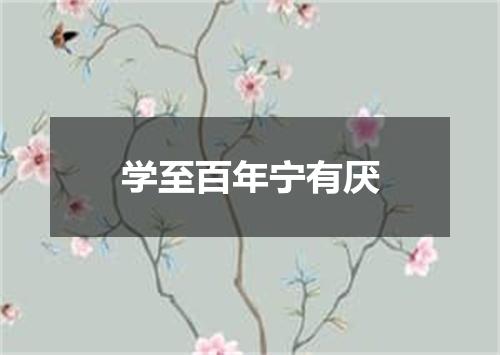 学至百年宁有厌