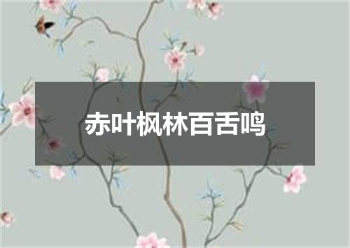 赤叶枫林百舌鸣
