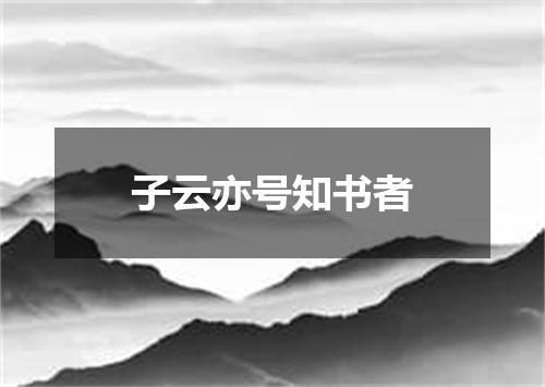 子云亦号知书者