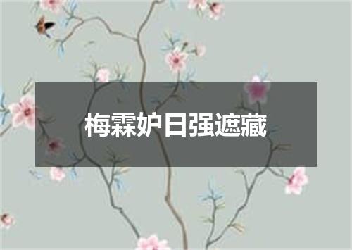 梅霖妒日强遮藏