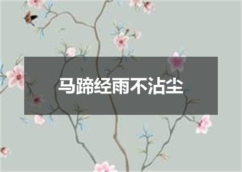 马蹄经雨不沾尘