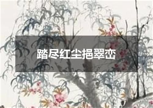 踏尽红尘挹翠峦