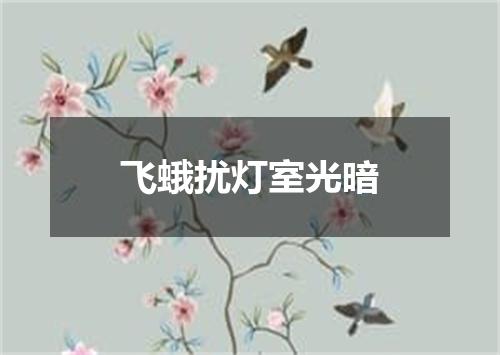 飞蛾扰灯室光暗