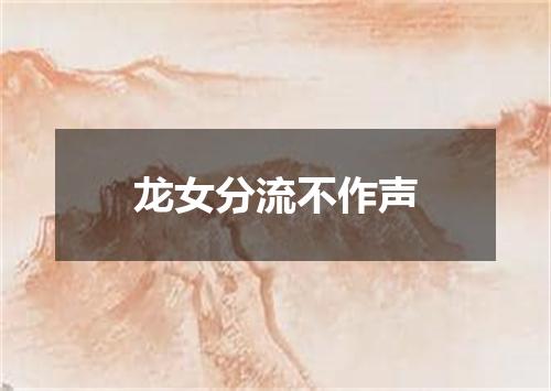 龙女分流不作声