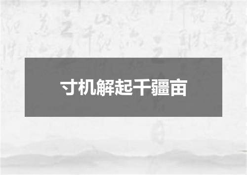 寸机解起千疆亩