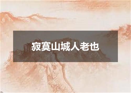寂寞山城人老也