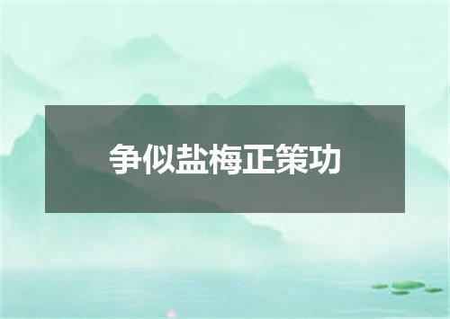 争似盐梅正策功
