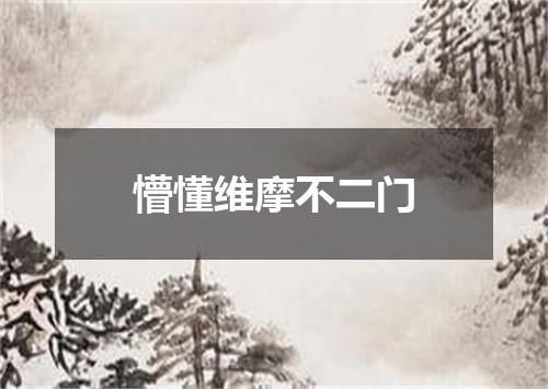 懵懂维摩不二门