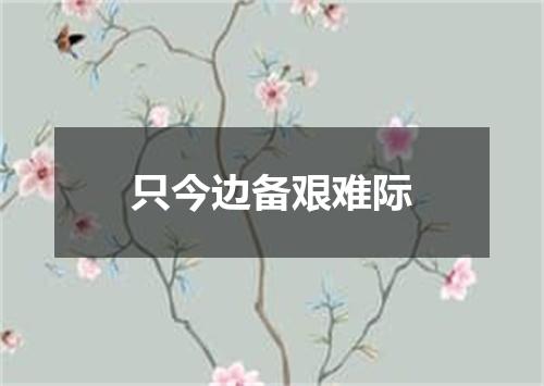 只今边备艰难际