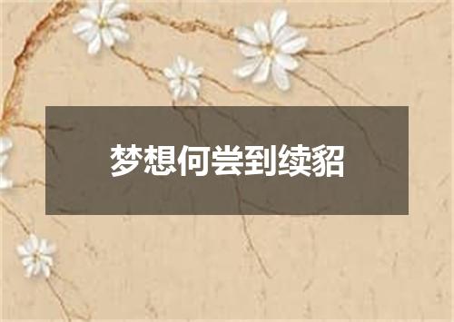 梦想何尝到续貂