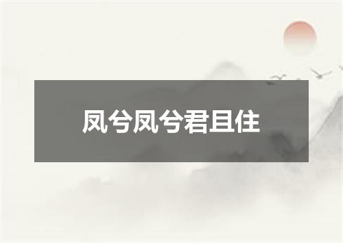 凤兮凤兮君且住