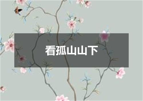 看孤山山下
